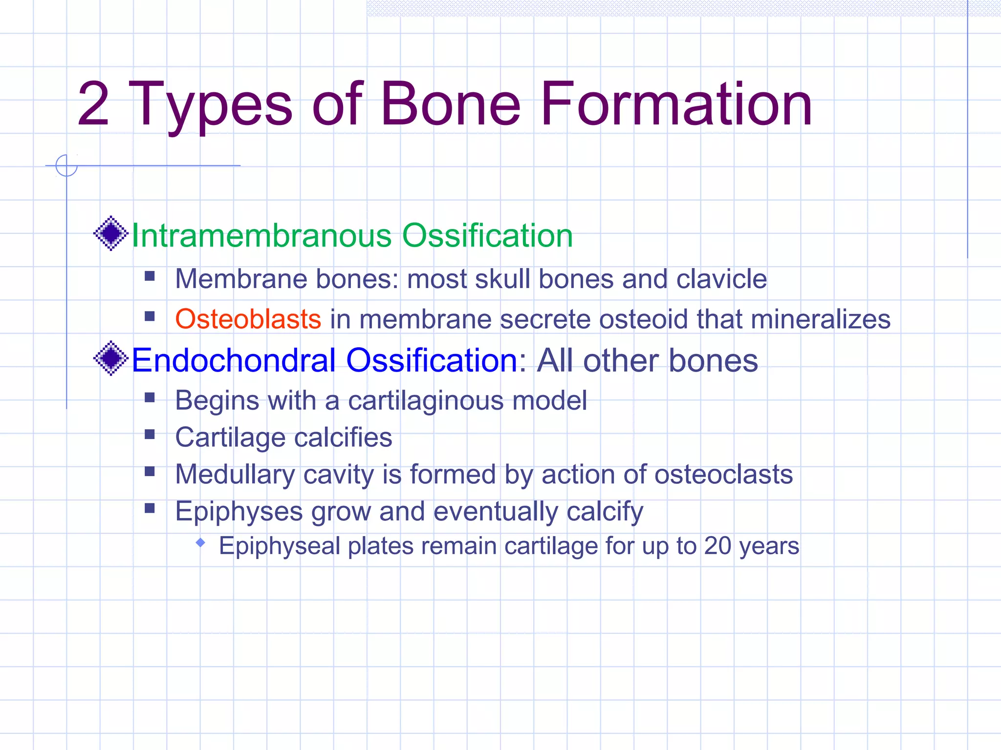 2 Types of Bone Formation

 Intramembranous Ossification
     Membrane bones: most skull bones and clavicle
     Osteoblasts in membrane secrete osteoid that mineralizes
 Endochondral Ossification: All other bones
     Begins with a cartilaginous model
     Cartilage calcifies
     Medullary cavity is formed by action of osteoclasts
     Epiphyses grow and eventually calcify
        Epiphyseal plates remain cartilage for up to 20 years
 