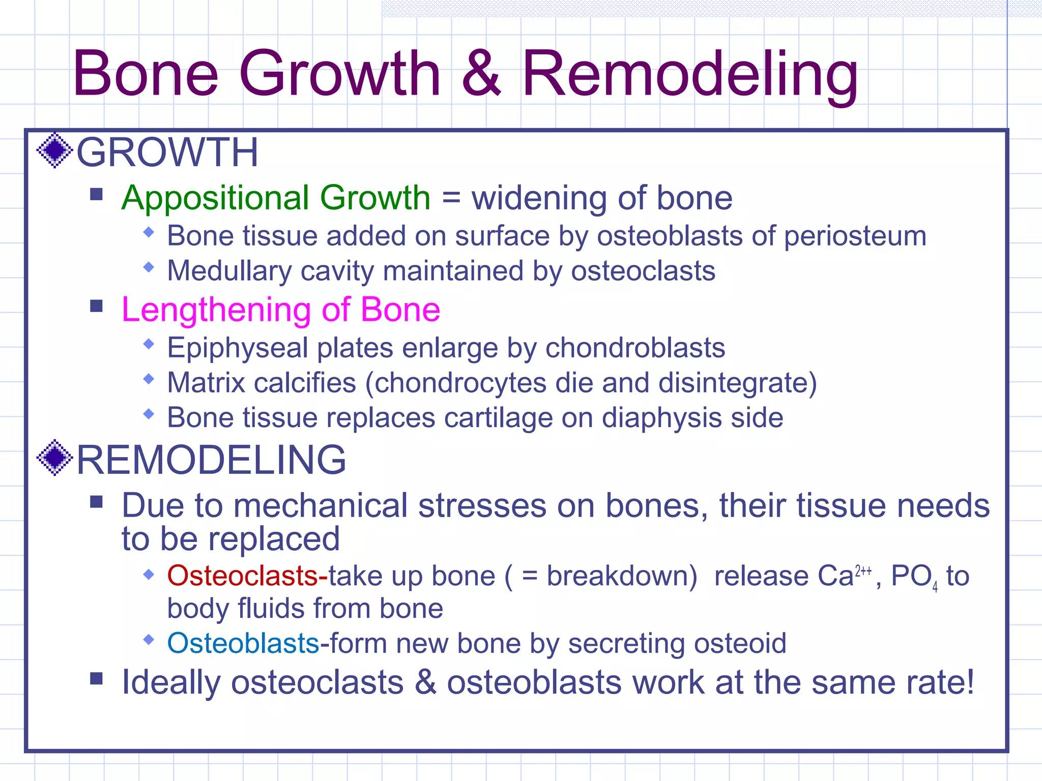Bone Growth & Remodeling
GROWTH
   Appositional Growth = widening of bone
      Bone tissue added on surface by osteoblasts of periosteum
      Medullary cavity maintained by osteoclasts
   Lengthening of Bone
      Epiphyseal plates enlarge by chondroblasts
      Matrix calcifies (chondrocytes die and disintegrate)
      Bone tissue replaces cartilage on diaphysis side
REMODELING
   Due to mechanical stresses on bones, their tissue needs
    to be replaced
      Osteoclasts-take up bone ( = breakdown) release Ca2++ , PO4 to
       body fluids from bone
      Osteoblasts-form new bone by secreting osteoid
   Ideally osteoclasts & osteoblasts work at the same rate!
 