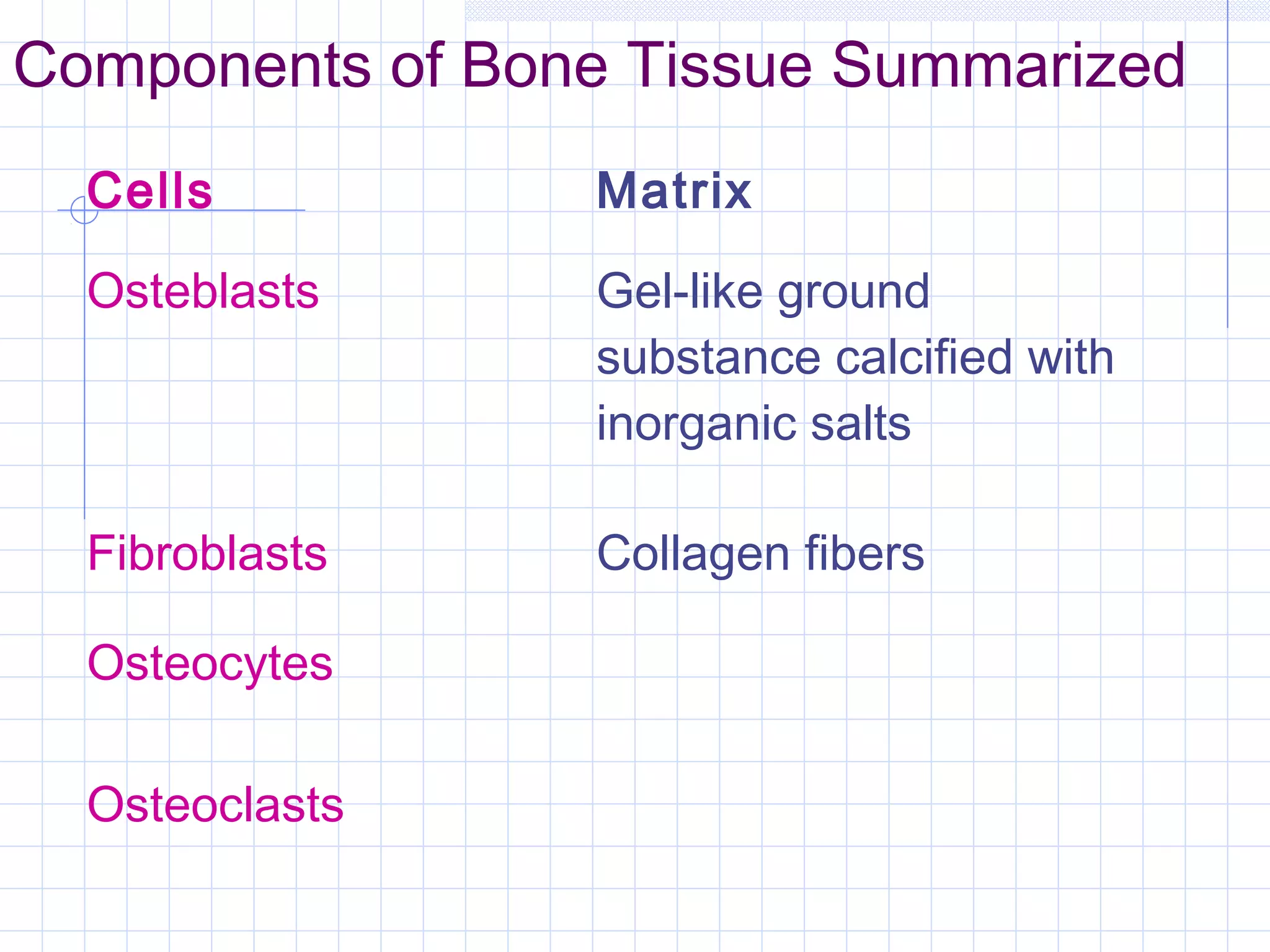 Components of Bone Tissue Summarized
  Cells          Matrix

  Osteblasts     Gel-like ground
                 substance calcified with
                 inorganic salts

  Fibroblasts    Collagen fibers

  Osteocytes

  Osteoclasts
 
