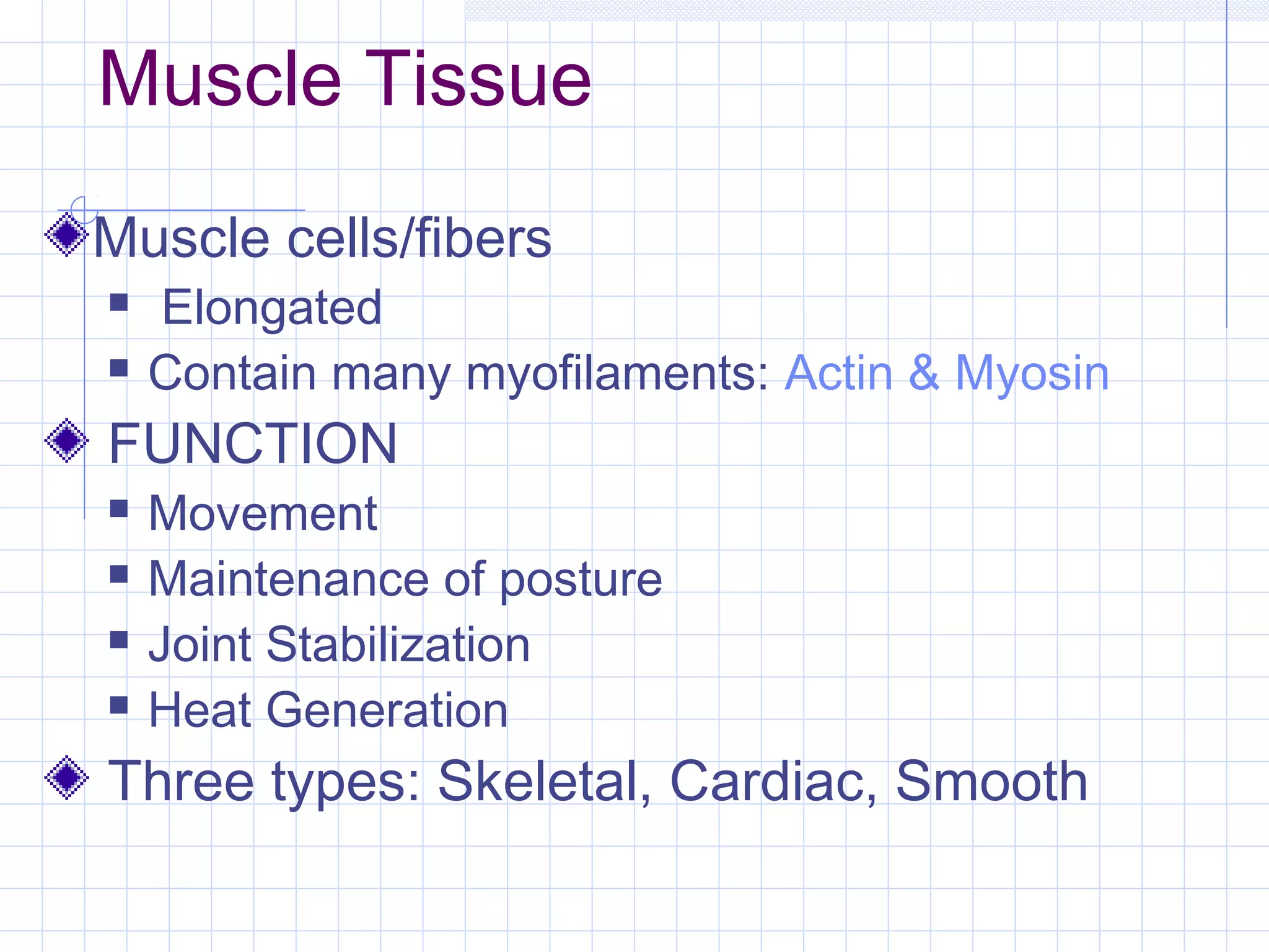 Muscle Tissue
Muscle cells/fibers
   Elongated
   Contain many myofilaments: Actin & Myosin
FUNCTION
   Movement
   Maintenance of posture
   Joint Stabilization
   Heat Generation
Three types: Skeletal, Cardiac, Smooth
 