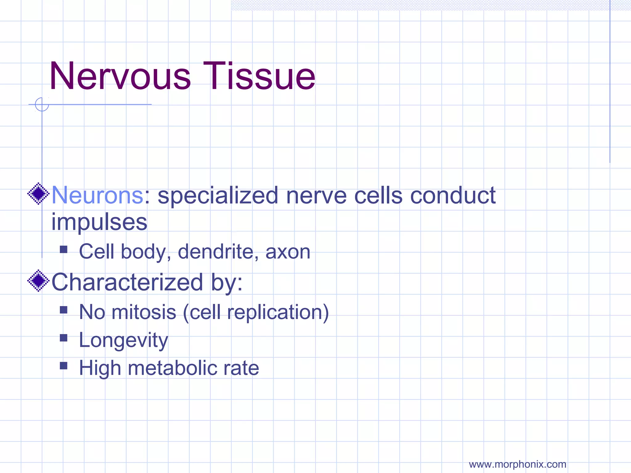Nervous Tissue

Neurons: specialized nerve cells conduct
impulses
   Cell body, dendrite, axon
Characterized by:
   No mitosis (cell replication)
   Longevity
   High metabolic rate



                                     www.morphonix.com
 