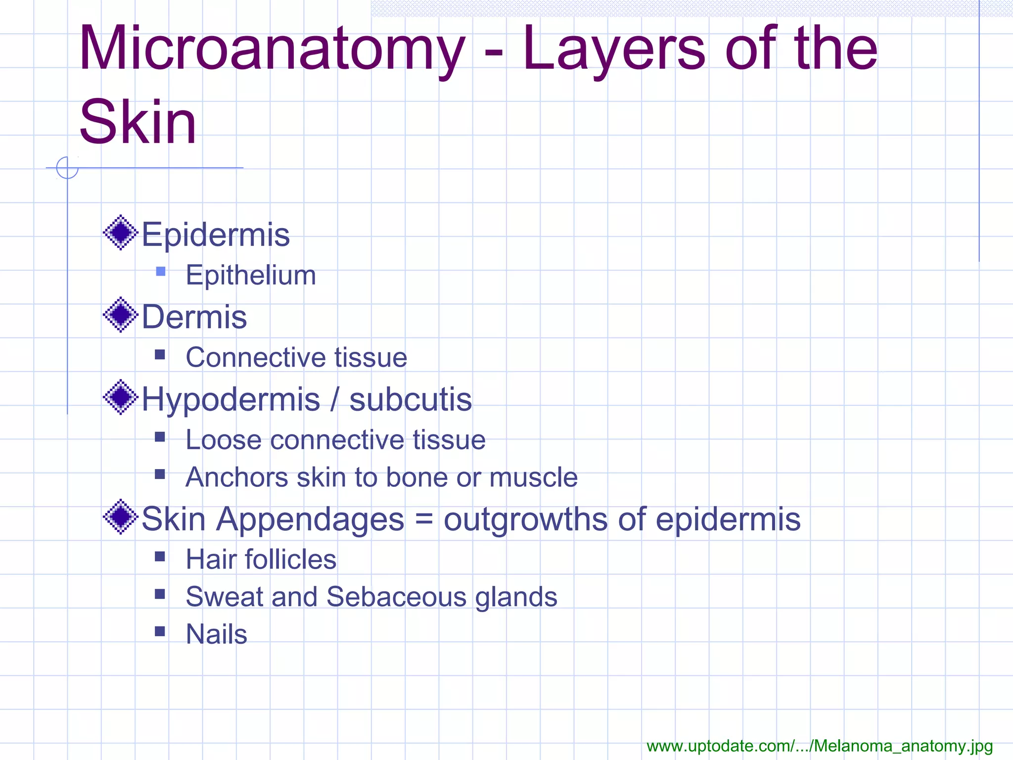 Microanatomy - Layers of the
Skin
  Epidermis
   Epithelium
  Dermis
     Connective tissue
  Hypodermis / subcutis
     Loose connective tissue
     Anchors skin to bone or muscle
  Skin Appendages = outgrowths of epidermis
     Hair follicles
     Sweat and Sebaceous glands
     Nails


                                       www.uptodate.com/.../Melanoma_anatomy.jpg
 