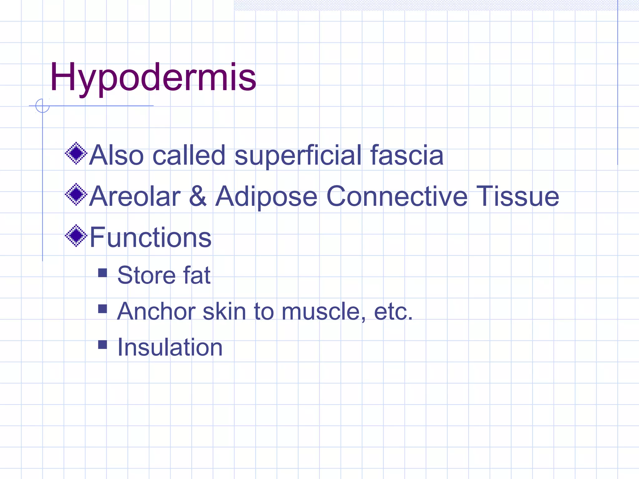 Hypodermis
 Also called superficial fascia
 Areolar & Adipose Connective Tissue
 Functions
     Store fat
     Anchor skin to muscle, etc.
     Insulation
 