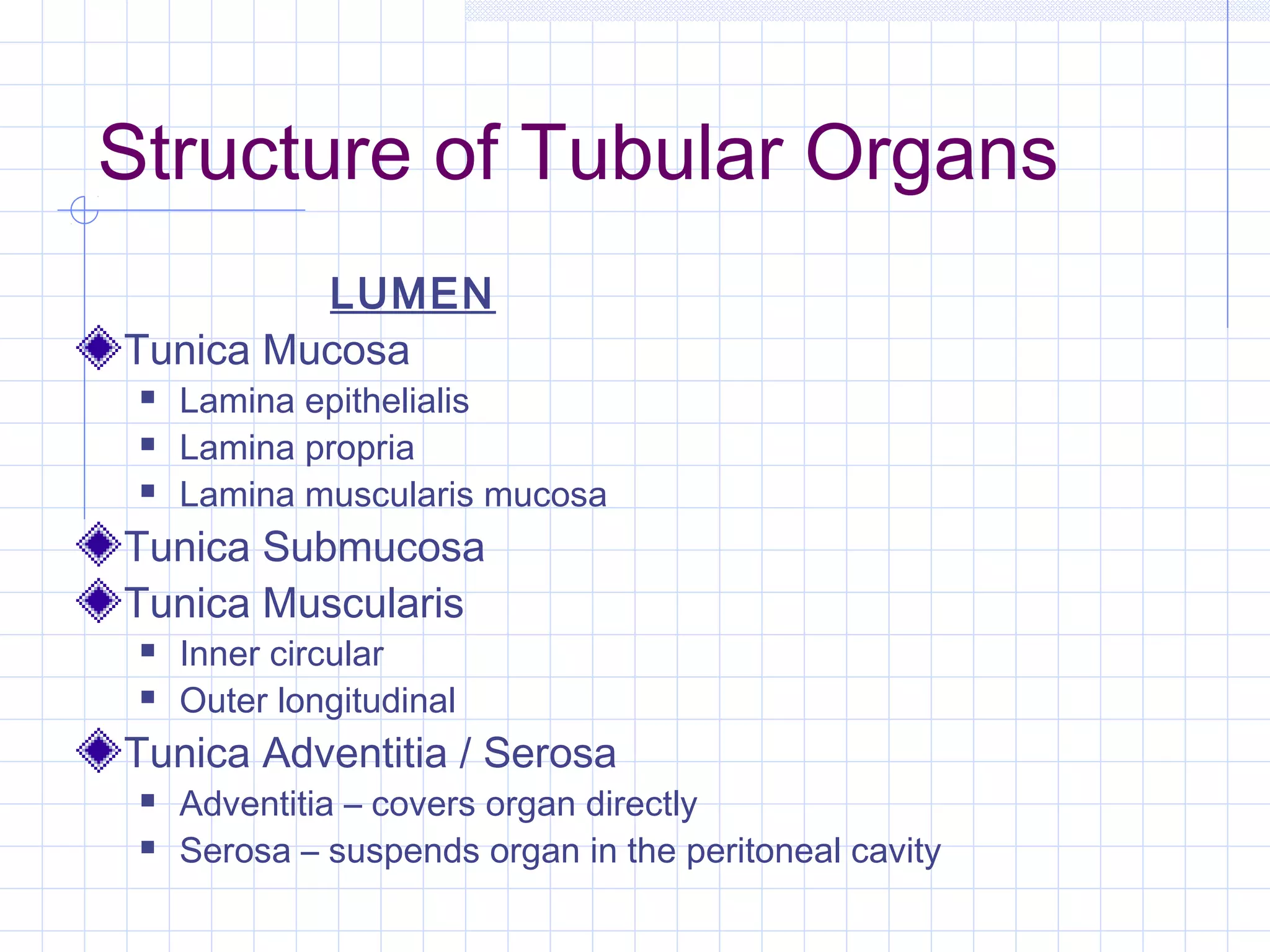 Structure of Tubular Organs
         LUMEN
Tunica Mucosa
    Lamina epithelialis
    Lamina propria
    Lamina muscularis mucosa
Tunica Submucosa
Tunica Muscularis
    Inner circular
    Outer longitudinal
Tunica Adventitia / Serosa
    Adventitia – covers organ directly
    Serosa – suspends organ in the peritoneal cavity
 