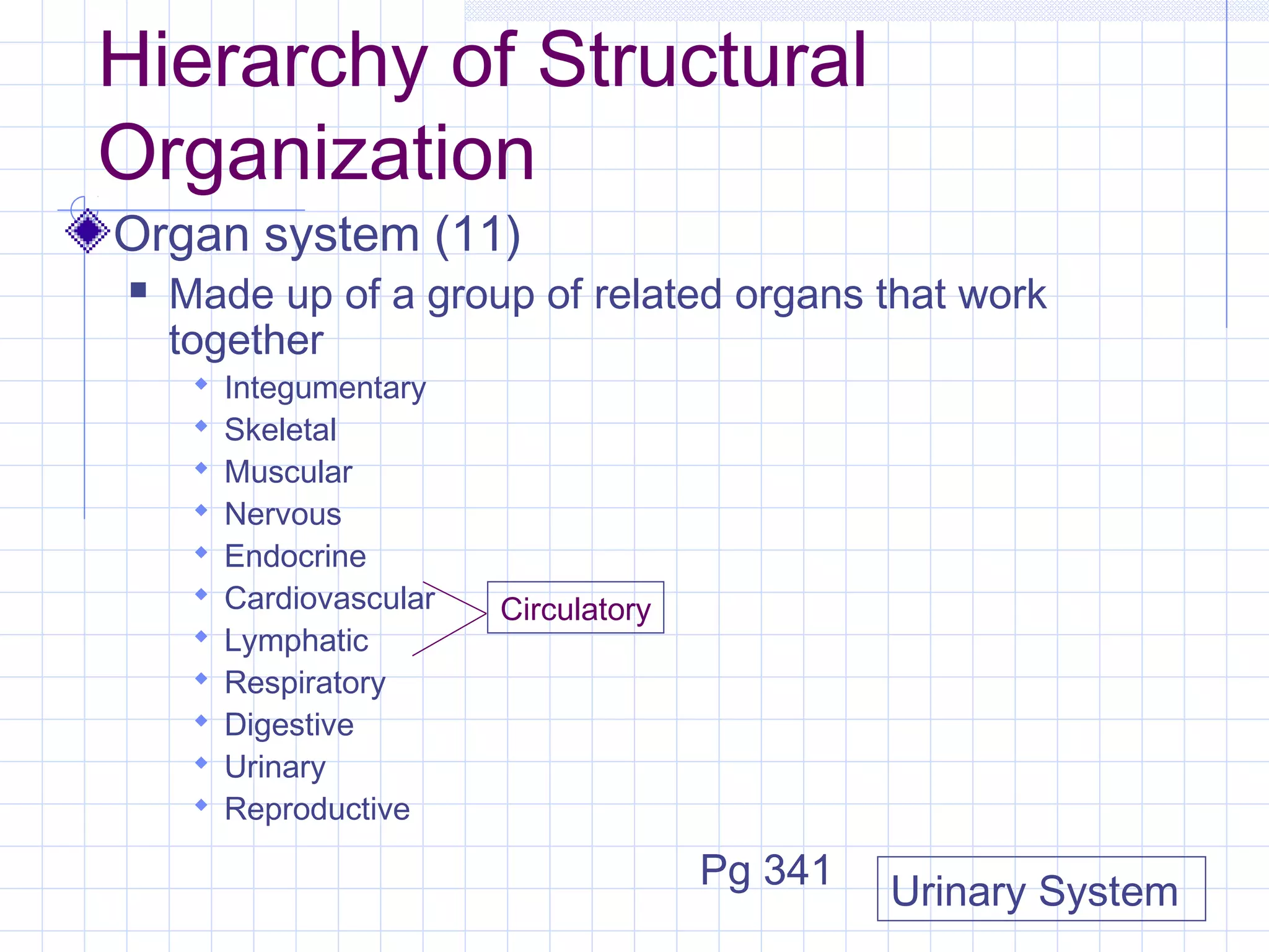 Hierarchy of Structural
Organization
Organ system (11)
   Made up of a group of related organs that work
    together
        Integumentary
        Skeletal
        Muscular
        Nervous
        Endocrine
        Cardiovascular   Circulatory
        Lymphatic
        Respiratory
        Digestive
        Urinary
        Reproductive

                                        Pg 341
                                                 Urinary System
 
