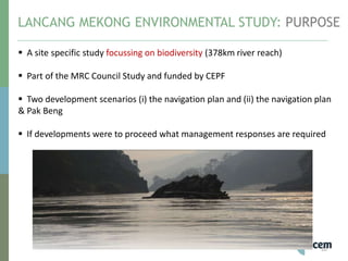 LANCANG MEKONG ENVIRONMENTAL STUDY: PURPOSE
10
 A site specific study focussing on biodiversity (378km river reach)
 Part of the MRC Council Study and funded by CEPF
 Two development scenarios (i) the navigation plan and (ii) the navigation plan
& Pak Beng
 If developments were to proceed what management responses are required
 
