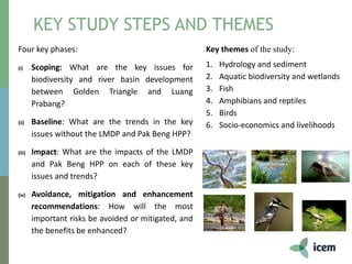 Four key phases:
(i) Scoping: What are the key issues for
biodiversity and river basin development
between Golden Triangle and Luang
Prabang?
(ii) Baseline: What are the trends in the key
issues without the LMDP and Pak Beng HPP?
(iii) Impact: What are the impacts of the LMDP
and Pak Beng HPP on each of these key
issues and trends?
(iv) Avoidance, mitigation and enhancement
recommendations: How will the most
important risks be avoided or mitigated, and
the benefits be enhanced?
KEY STUDY STEPS AND THEMES
Key themes of the study:
1. Hydrology and sediment
2. Aquatic biodiversity and wetlands
3. Fish
4. Amphibians and reptiles
5. Birds
6. Socio-economics and livelihoods
 