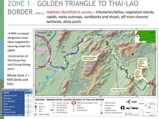 ZONE 1 – GOLDEN TRIANGLE TO THAI-LAO
BORDER (98km) Habitats identified in survey – tributaries/deltas, vegetated islands,
rapids, rocky outcrops, sandbanks and shoals, off main channel
wetlands, deep pools
Whole Zone 1 =
KBA (birds and
fish)
-4 MRC surveyed
dangerous areas
likely targeted for
clearing under the
LMDP
-Construction of
the Houay Xay
and Chiang Khong
ports
 