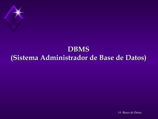 DBMS (Sistema Administrador de Base de Datos) 