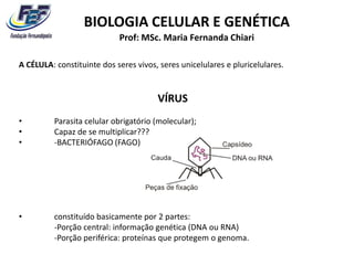 BIOLOGIA CELULAR E GENÉTICA
                            Prof: MSc. Maria Fernanda Chiari

A CÉLULA: constituinte dos seres vivos, seres unicelulares e pluricelulares.


                                       VÍRUS
•         Parasita celular obrigatório (molecular);
•         Capaz de se multiplicar???
•         -BACTERIÓFAGO (FAGO)




•         constituído basicamente por 2 partes:
          -Porção central: informação genética (DNA ou RNA)
          -Porção periférica: proteínas que protegem o genoma.
 