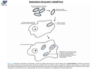 BIOLOGIA CELULAR E GENÉTICA
 