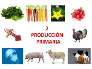 2
PRODUCCIÓN
PRIMARIA
 