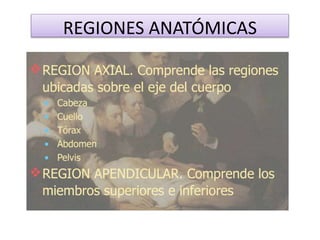 REGIONES ANATÓMICAS
 