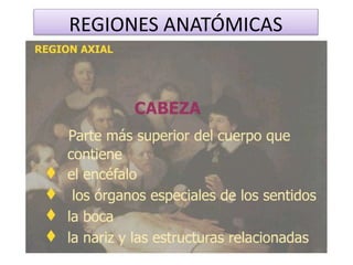 REGIONES ANATÓMICAS
 