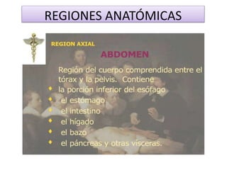 REGIONES ANATÓMICAS
 