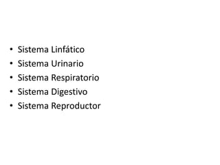 • Sistema Linfático
• Sistema Urinario
• Sistema Respiratorio
• Sistema Digestivo
• Sistema Reproductor
 