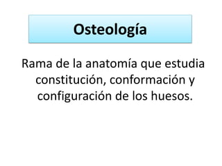 Osteología
Rama de la anatomía que estudia
constitución, conformación y
configuración de los huesos.
 