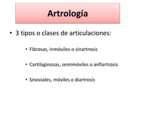 Artrología
• 3 tipos o clases de articulaciones:
• Fibrosas, inmóviles o sinartrosis
• Cartilaginosas, semimóviles o anfiartrosis
• Sinoviales, móviles o diartrosis
 