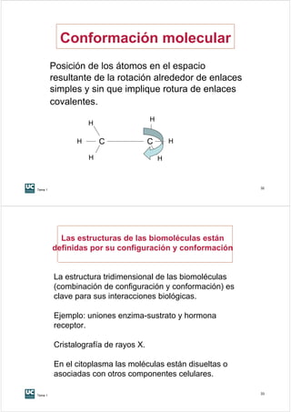 Conformación molecular
         Posición de los átomos en el espacio
         resultante de la rotación alrededor de enlaces
         simples y sin que implique rotura de enlaces
         covalentes.
                                      H
                   H

               H       C              C       H

                   H                      H



Tema 1
                                                            32




           Las estructuras de las biomoléculas están
         definidas por su configuración y conformación


         La estructura tridimensional de las biomoléculas
         (combinación de configuración y conformación) es
         clave para sus interacciones biológicas.

         Ejemplo: uniones enzima-sustrato y hormona
         receptor.

         Cristalografía de rayos X.

         En el citoplasma las moléculas están disueltas o
         asociadas con otros componentes celulares.

Tema 1
                                                            33
 