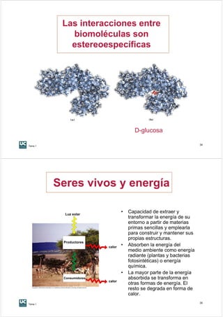 Las interacciones entre
            biomoléculas son
            estereoespecíficas




                                       D-glucosa

Tema 1
                                                                     34




         Seres vivos y energía

           Luz solar
                                 •   Capacidad de extraer y
                                     transformar la energía de su
                                     entorno a partir de materias
                                     primas sencillas y emplearla
                                     para construir y mantener sus
                                     propias estructuras.
          Productores
                         calor
                                 •   Absorben la energía del
                                     medio ambiente como energía
                                     radiante (plantas y bacterias
                                     fotosintéticas) o energía
                                     química.
                                 •   La mayor parte de la energía
          Consumidores               absorbida se transforma en
                         calor
                                     otras formas de energía. El
                                     resto se degrada en forma de
                                     calor.
Tema 1
                                                                     35
 