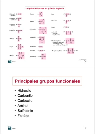 Grupos funcionales en química orgánica




                                                       (Lehninger)
Tema 1
                                                               20




    Principales grupos funcionales

    •    Hidroxilo
    •    Carbonilo
    •    Carboxilo
    •    Amino
    •    Sulfhidrilo
    •    Fosfato


Tema 1
                                                               21
 