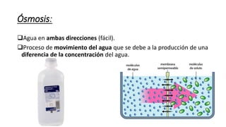 Ósmosis:
Agua en ambas direcciones (fácil).
Proceso de movimiento del agua que se debe a la producción de una
diferencia de la concentración del agua.
 