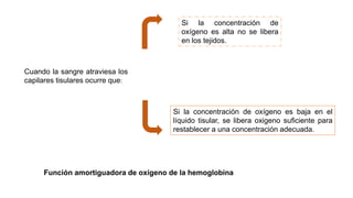Cuando la sangre atraviesa los
capilares tisulares ocurre que:
Si la concentración de
oxígeno es alta no se libera
en los tejidos.
Si la concentración de oxígeno es baja en el
líquido tisular, se libera oxigeno suficiente para
restablecer a una concentración adecuada.
Función amortiguadora de oxígeno de la hemoglobina
 