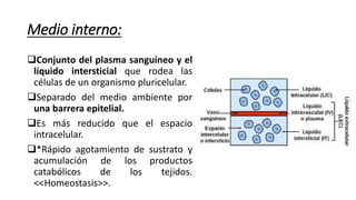 Medio interno:
Conjunto del plasma sanguíneo y el
líquido intersticial que rodea las
células de un organismo pluricelular.
Separado del medio ambiente por
una barrera epitelial.
Es más reducido que el espacio
intracelular.
*Rápido agotamiento de sustrato y
acumulación de los productos
catabólicos de los tejidos.
<<Homeostasis>>.
 