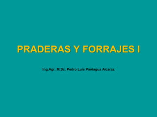 PRADERAS Y FORRAJES I
Ing.Agr. M.Sc. Pedro Luis Paniagua Alcaraz
 