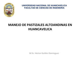 MANEJO DE PASTIZALES ALTOANDINAS EN
HUANCAVELICA
M.Sc. Héctor Guillén Domínguez
UNIVERSIDAD NACIONAL DE HUANCAVELICA
FACULTAD DE CIENCIAS DE INGENIERIA
 