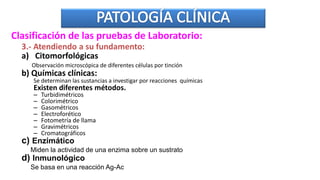 3.- Atendiendo a su fundamento:
a) Citomorfológicas
Observación microscópica de diferentes células por tinción
b) Químicas clínicas:
Se determinan las sustancias a investigar por reacciones químicas
Existen diferentes métodos.
– Turbidimétricos
– Colorimétrico
– Gasométricos
– Electroforético
– Fotometría de llama
– Gravimétricos
– Cromatográficos
c) Enzimático
Miden la actividad de una enzima sobre un sustrato
d) Inmunológico
Se basa en una reacción Ag-Ac
Clasificación de las pruebas de Laboratorio:
 