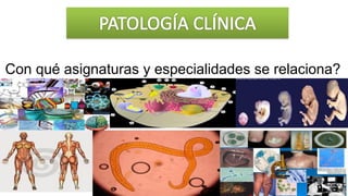 Con qué asignaturas y especialidades se relaciona?
 