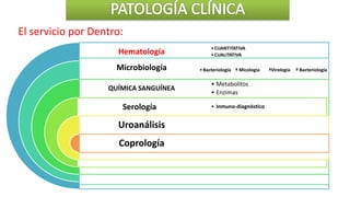 Hematología
Microbiología
QUÍMICA SANGUÍNEA
Serología
Uroanálisis
Coprología
•CUANTITATIVA
•CUALITATIVA
•Bacteriología º Micología ºVirología º Bacteriología
• Metabolitos
• Enzimas
• Inmuno-diagnóstico
El servicio por Dentro:
 