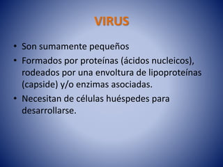 VIRUS
• Son sumamente pequeños
• Formados por proteínas (ácidos nucleicos),
rodeados por una envoltura de lipoproteínas
(capside) y/o enzimas asociadas.
• Necesitan de células huéspedes para
desarrollarse.
 