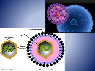 1 Introduccion a la Microbiologia.pptx