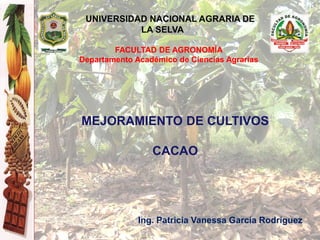 FACULTAD DE AGRONOMÍA
Departamento Académico de Ciencias Agrarias
Ing. Patricia Vanessa García Rodríguez
MEJORAMIENTO DE CULTIVOS
CACAO
 