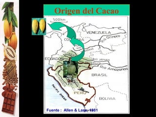 Origen del Cacao
Fuente : Allen & Lass, 1981
 