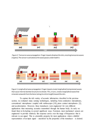 Figure 2. Transverse wave propagation:Fingerimpactsdisplace the skin,creatingtransverse waves
(ripples).The sensorisactivatedasthe wave passesunderneathit.
Figure 3. Longitudinal wave propagation:Fingerimpactscreate longitudinal (compressive) waves
that cause internal skeletal structurestovibrate.This,inturn, createslongitudinal wavesthat
emanate outwardsfromthe bone (alongitsentire length) towardthe skin.
To capture the rich variety of acoustic information described in the previous
section, we evaluated many sensing technologies, including bone conduction microphones,
conventional microphones coupled with stethoscopes [10], piezo contact microphones [2],
and accelerometers. However, these transducers were engineered for very different
applications than measuring acoustics transmitted through the human body. As such, we
found them to be lacking in several significant ways. Foremost, most mechanical sensors are
engineered to provide relatively flat response curves over the range of frequencies that is
relevant to our signal. This is a desirable property for most applications where a faithful
representation of an input signal – uncolored by the properties of the transducer – is desired.
 
