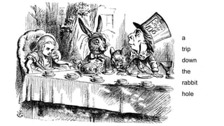 a
trip
down
the
rabbit
hole
 