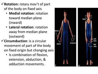introduction to human anatomy | PPTX