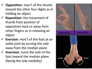 introduction to human anatomy | PPTX