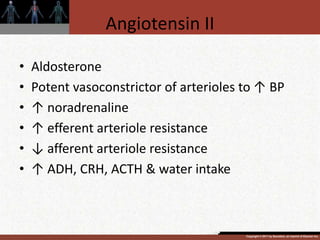 Copyright © 2011 by Saunders, an imprint of Elsevier Inc.
Angiotensin II
• Aldosterone
• Potent vasoconstrictor of arterioles to ↑ BP
• ↑ noradrenaline
• ↑ efferent arteriole resistance
• ↓ afferent arteriole resistance
• ↑ ADH, CRH, ACTH & water intake
 
