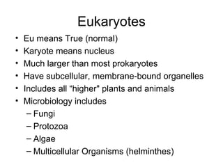 Eukaryotes
• Eu means True (normal)
• Karyote means nucleus
• Much larger than most prokaryotes
• Have subcellular, membrane-bound organelles
• Includes all “higher" plants and animals
• Microbiology includes
– Fungi
– Protozoa
– Algae
– Multicellular Organisms (helminthes)
 