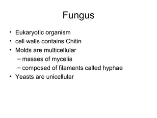 Fungus
• Eukaryotic organism
• cell walls contains Chitin
• Molds are multicellular
– masses of mycelia
– composed of filaments called hyphae
• Yeasts are unicellular
 