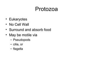 Protozoa
• Eukaryotes
• No Cell Wall
• Surround and absorb food
• May be motile via
– Pseudopods
– cilia, or
– flagella
 
