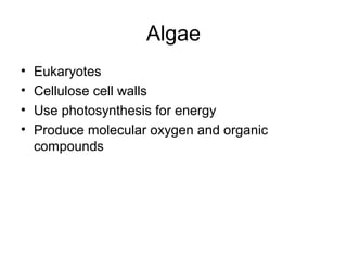 Algae
• Eukaryotes
• Cellulose cell walls
• Use photosynthesis for energy
• Produce molecular oxygen and organic
compounds
 