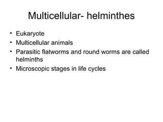 Multicellular- helminthes
• Eukaryote
• Multicellular animals
• Parasitic flatworms and round worms are called
helminths
• Microscopic stages in life cycles
 