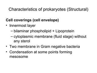 Characteristics of prokaryotes (Structural)
Cell coverings (cell envelope)
• Innermost layer
– bilaminar phospholipid + Lipoprotein
– cytoplasmic membrane (fluid stage) without
any sterol
• Two membrane in Gram negative bacteria
• Condensation at some points forming
mesosome
 
