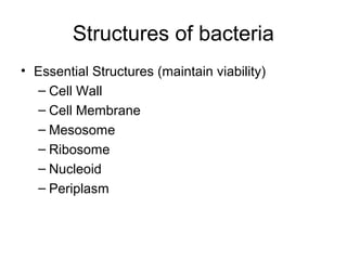 Structures of bacteria
• Essential Structures (maintain viability)
– Cell Wall
– Cell Membrane
– Mesosome
– Ribosome
– Nucleoid
– Periplasm
 