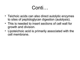 Conti…
• Teichoic acids can also direct autolytic enzymes
to sites of peptidoglycan digestion (autolysis).
• This is needed to insert sections of cell wall for
growth and division.
• Lipoteichoic acid is primarily associated with the
cell membrane.
 